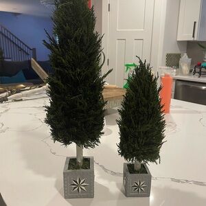 MacKenzie-Childs Green Holiday Topiary Duo